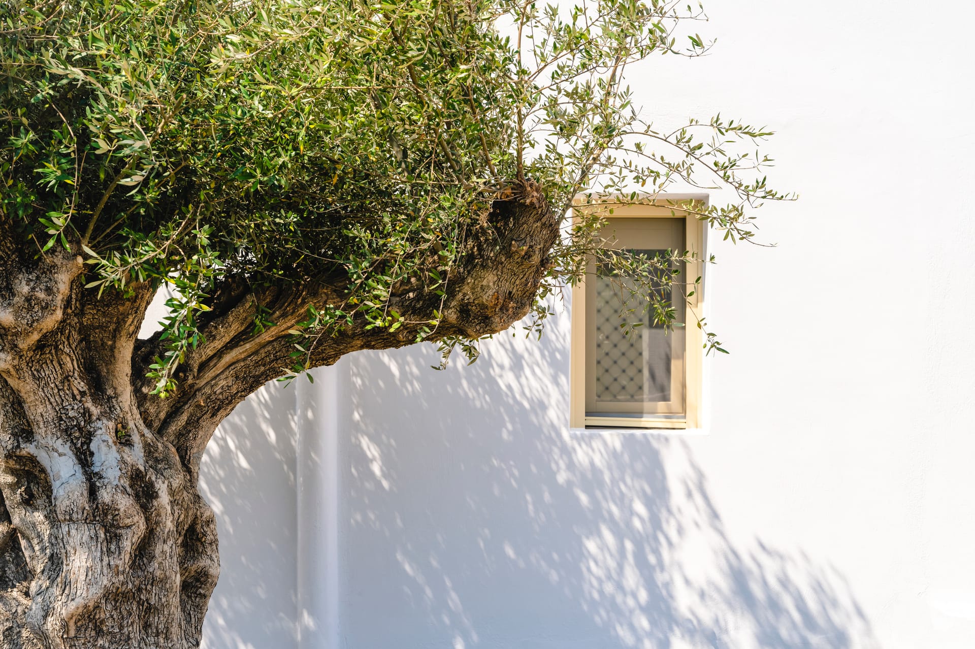 Mykonos Feelings - LUPO - 11