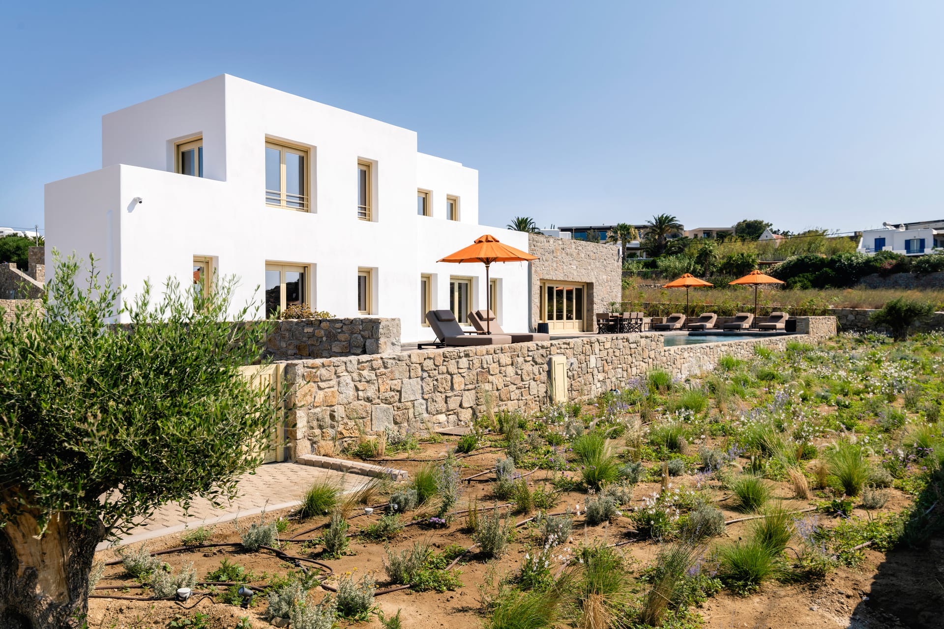 Mykonos Feelings - LUPO - 14