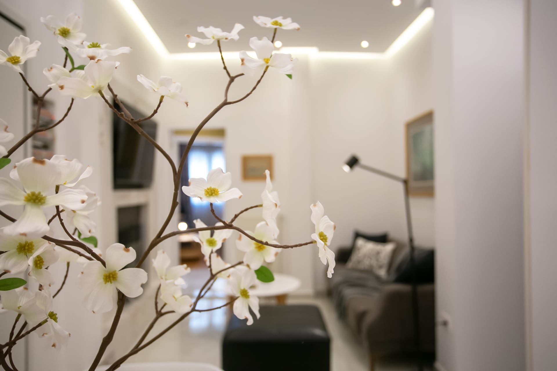 Heloni Apartments Athens - POLMEL - 5