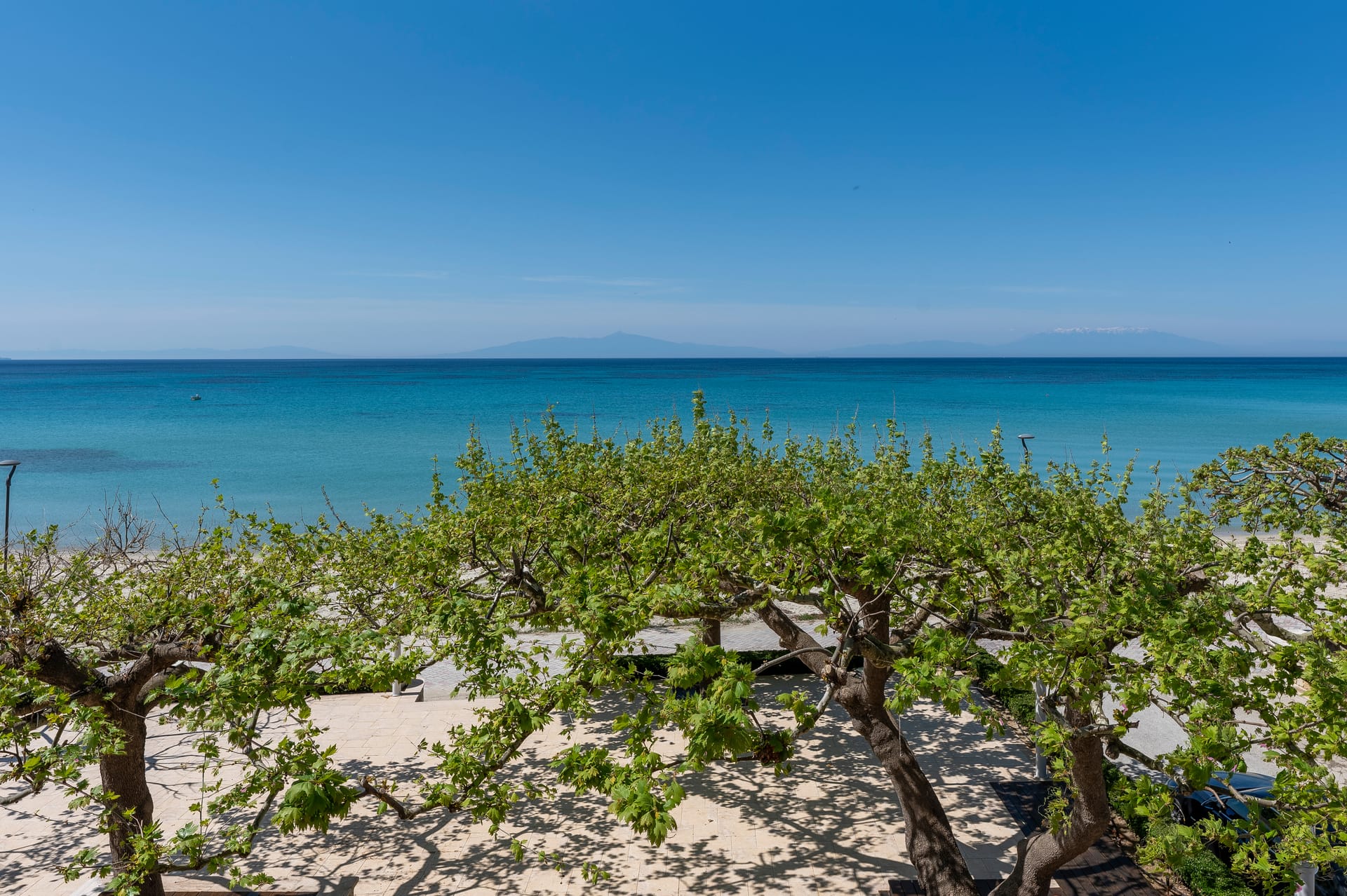 Alkioni by the Sea Hotel Siviri - ELESV - 4