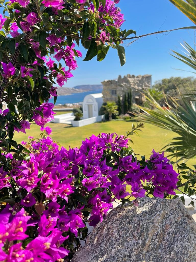 Mykonos Feelings - OIKON - 17