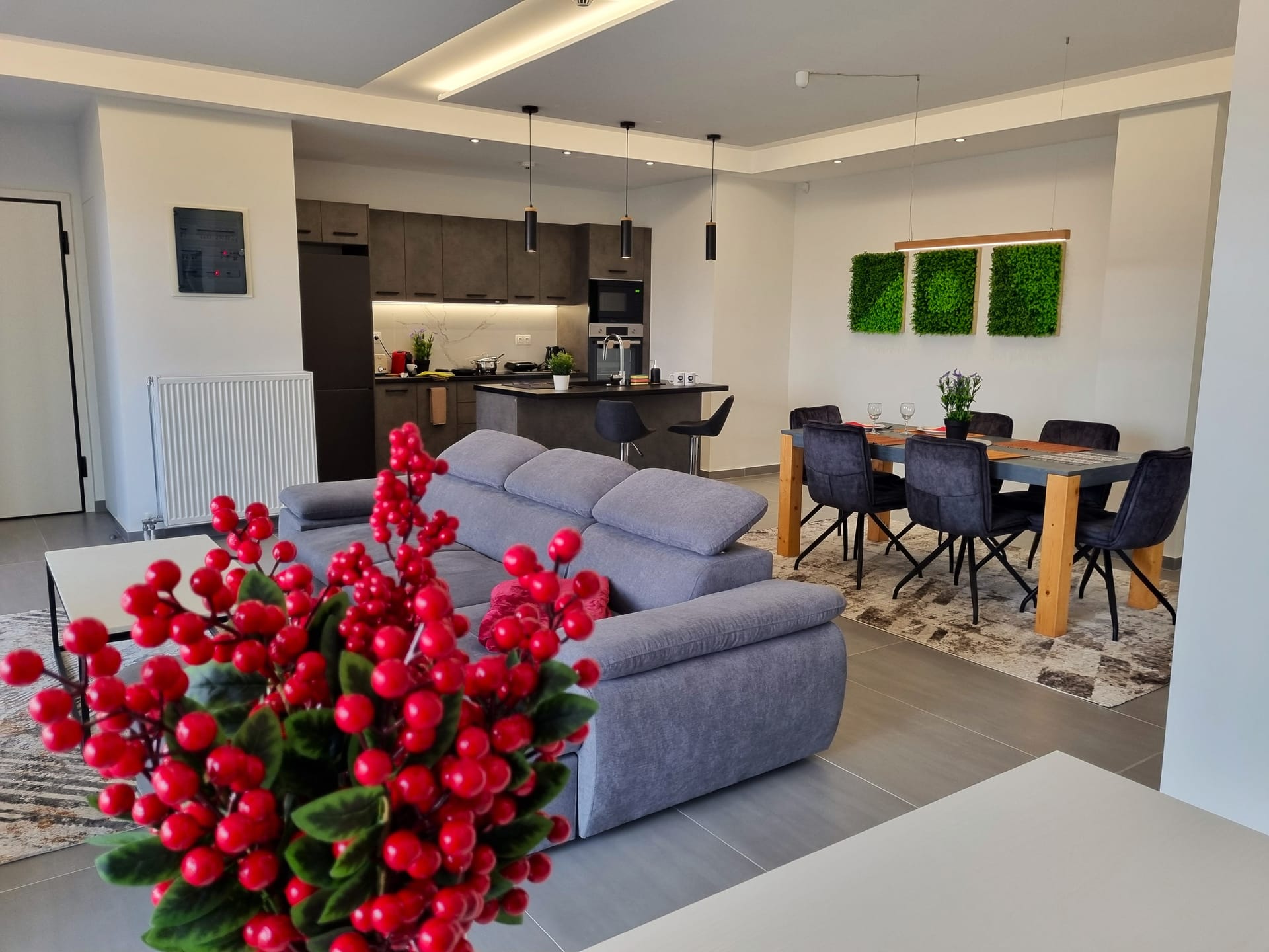 Deluxe Apartment