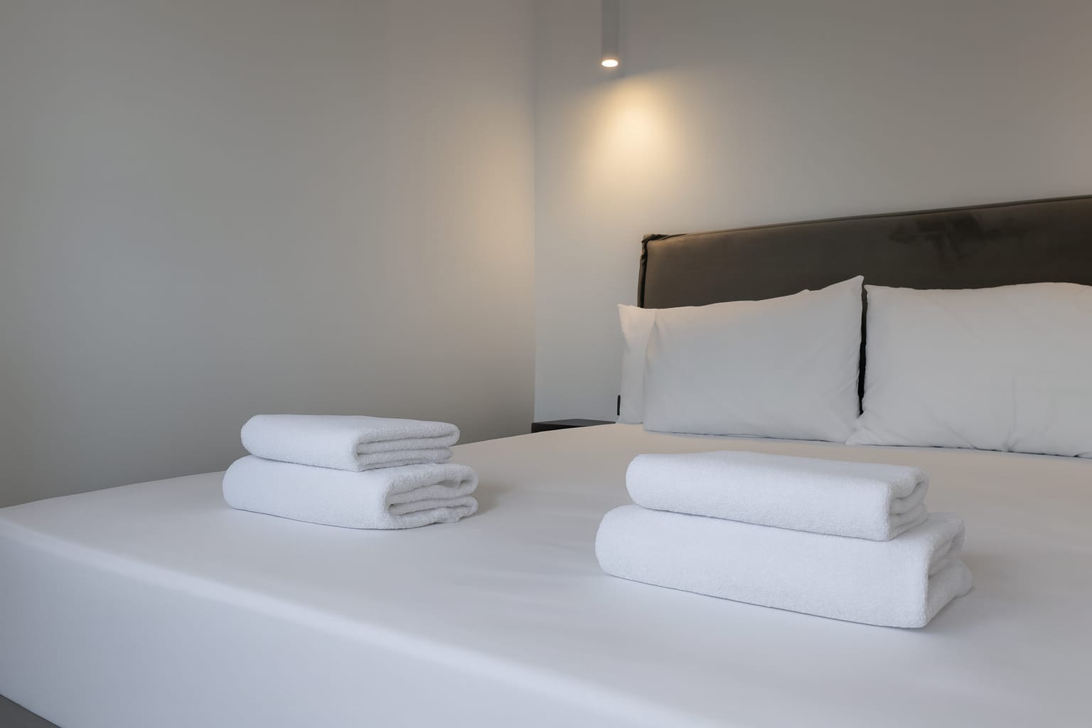 Mono Alex Afitos - SUITE - 1