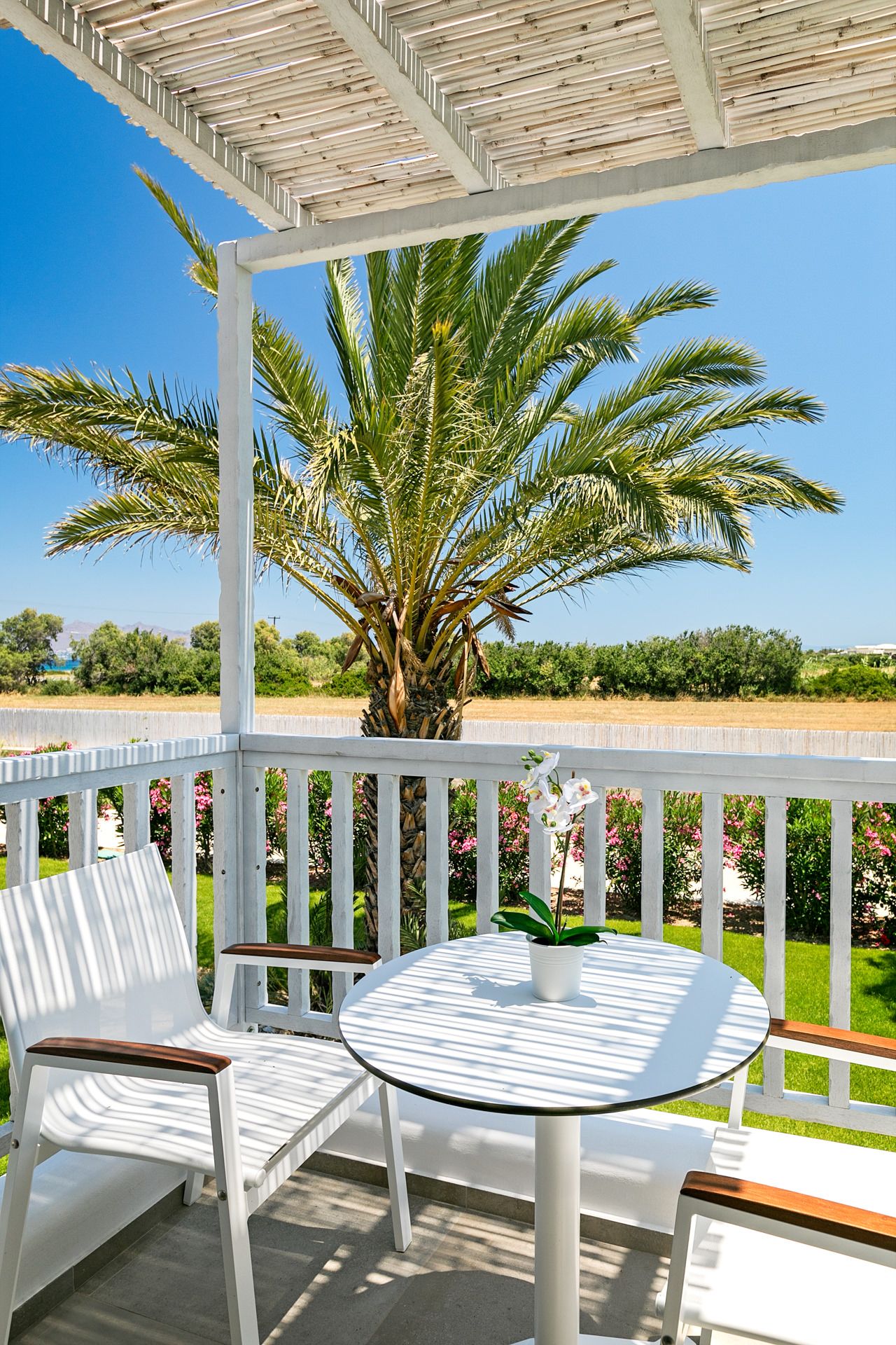Kos White Pearls Luxury Suites - TILOS - 11
