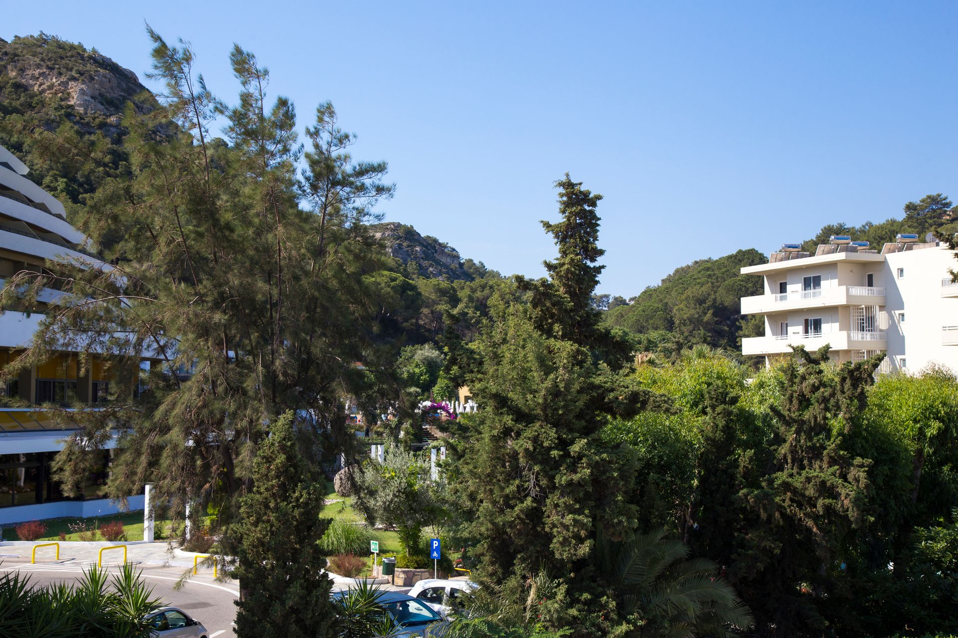 Eleni’s Philoxenia - ETHOS - 9