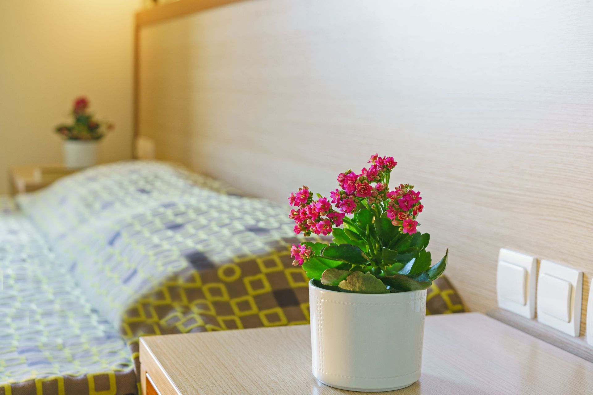 Alianthos Beach Hotel Rethymno - DSV - 12