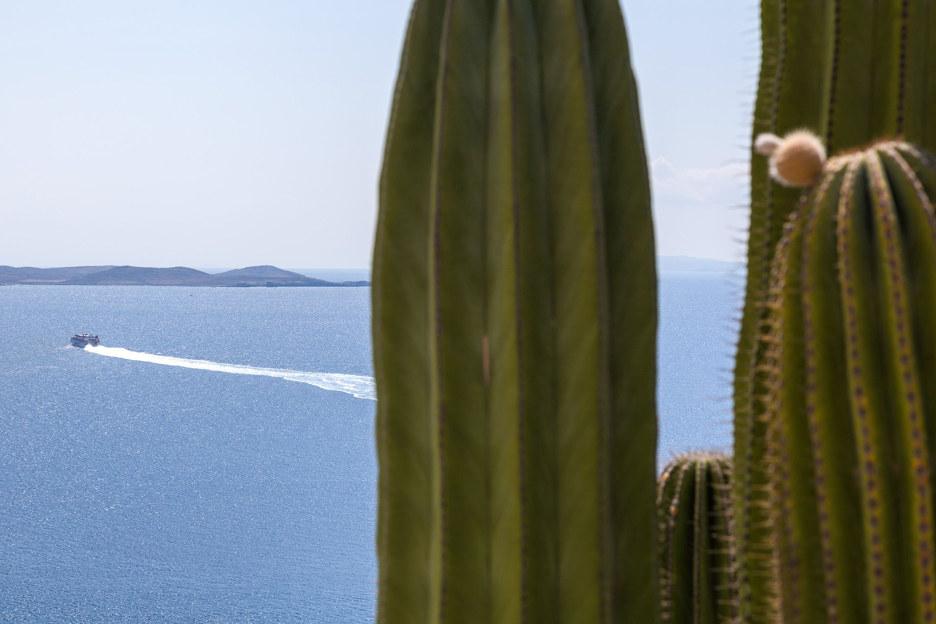 Mykonos Feelings - WHITE - 12