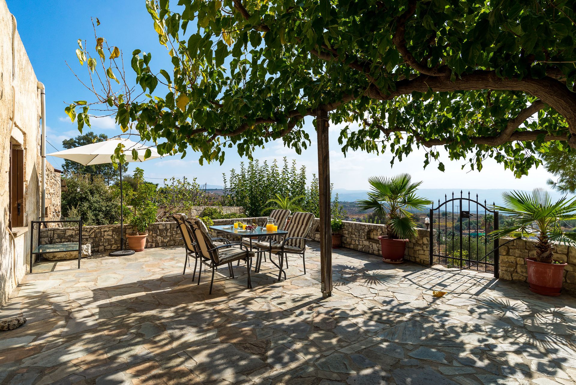 Pure Crete - ARTEMI - 4