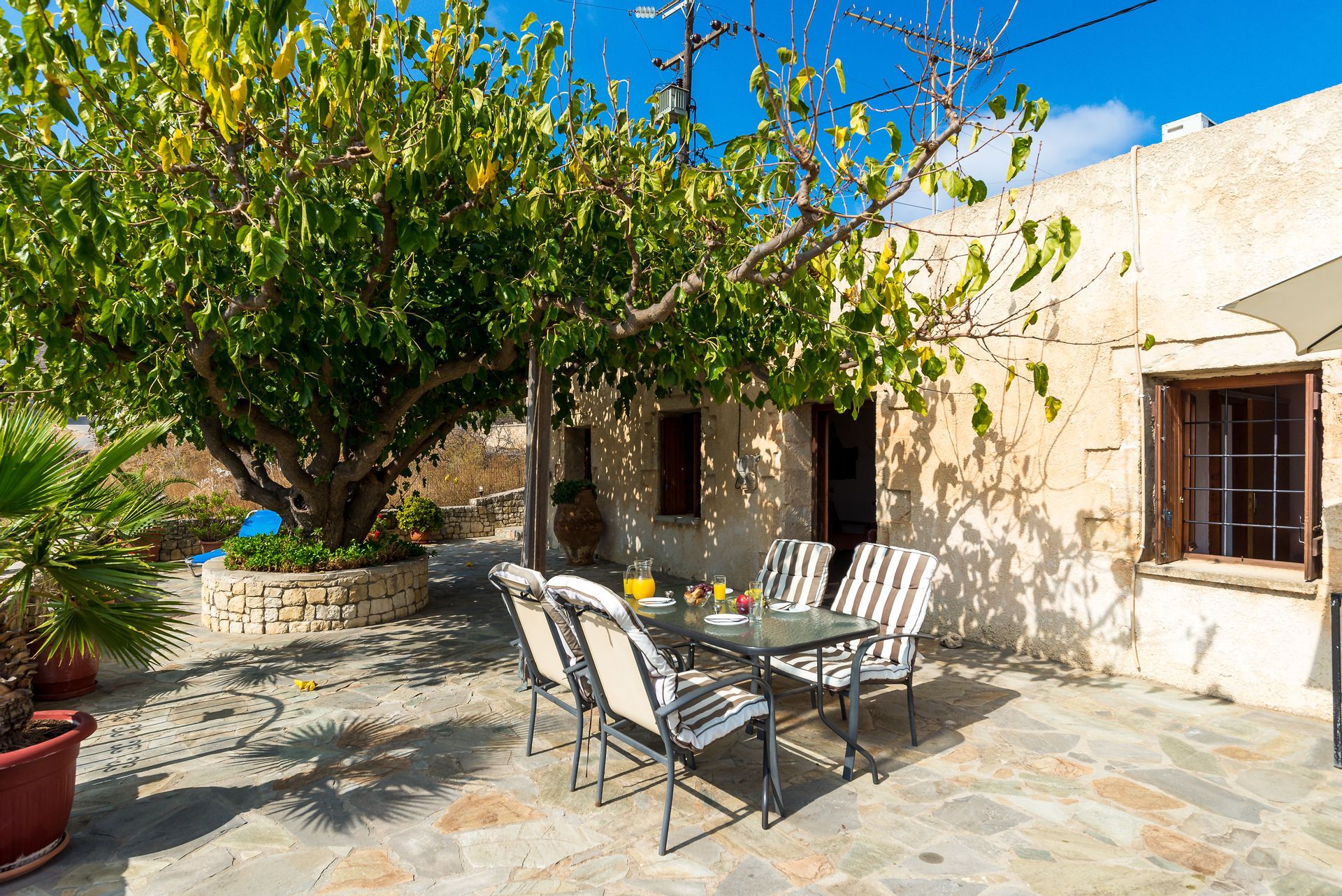 Pure Crete - ARTEMI - 5