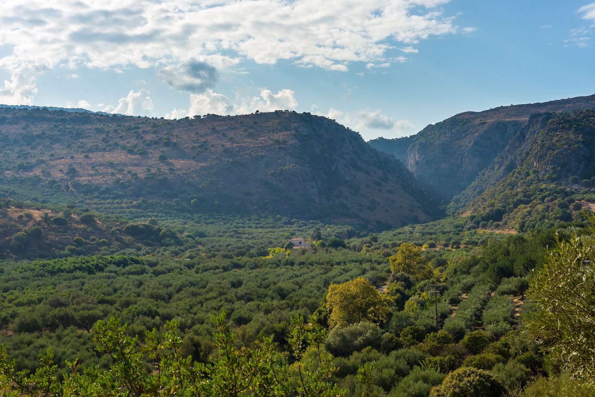 Pure Crete - DIKTAM - 2