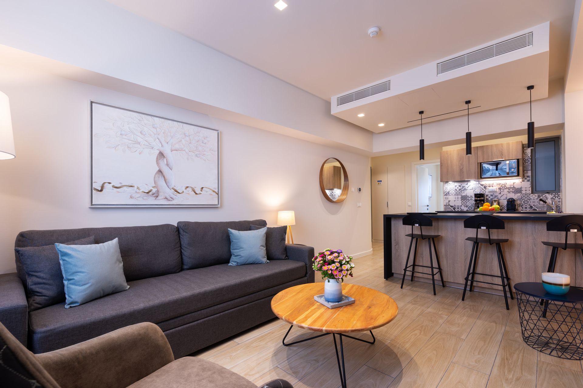 Deluxe Apartment
