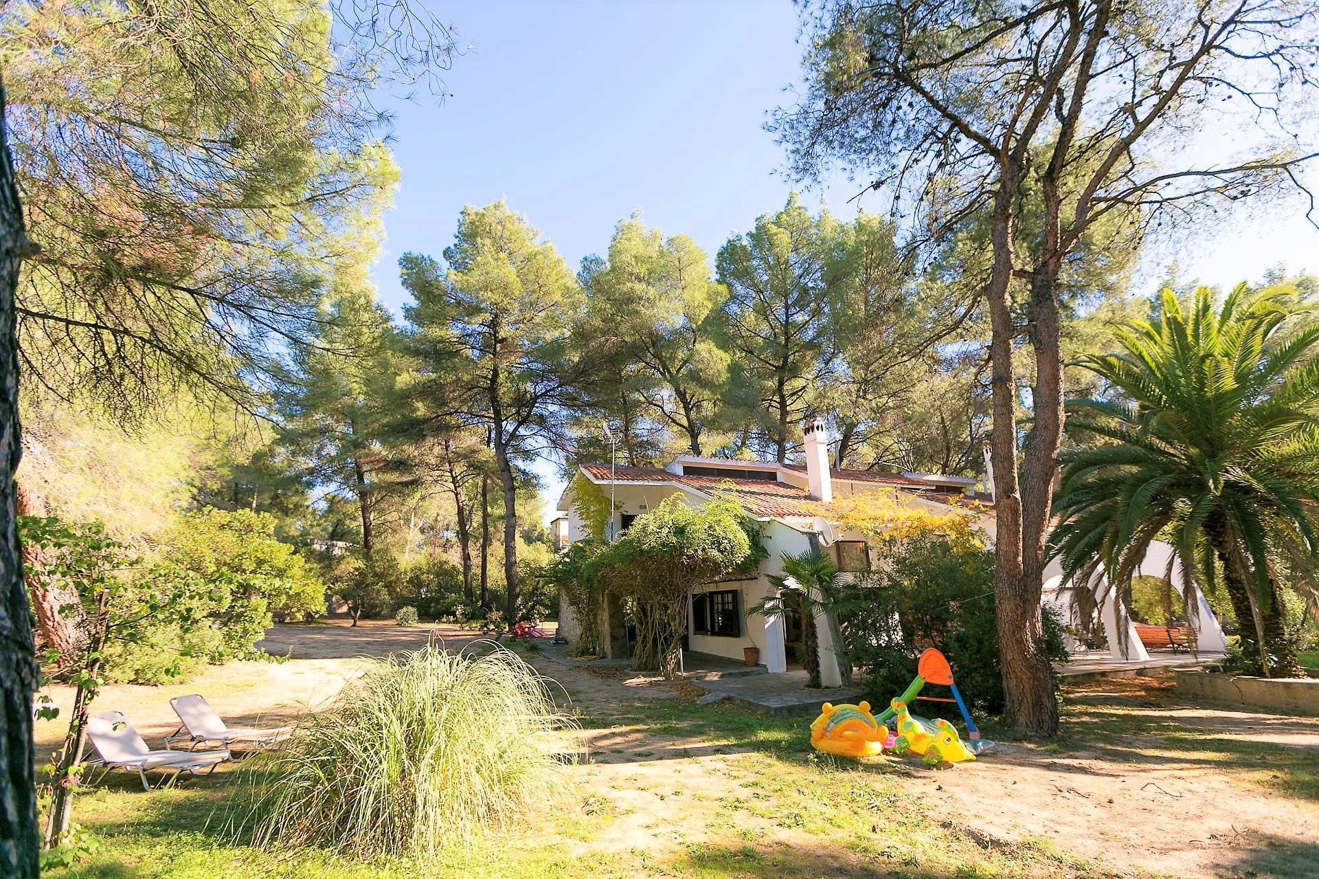 Rose Willow – Family Holidays in Greece