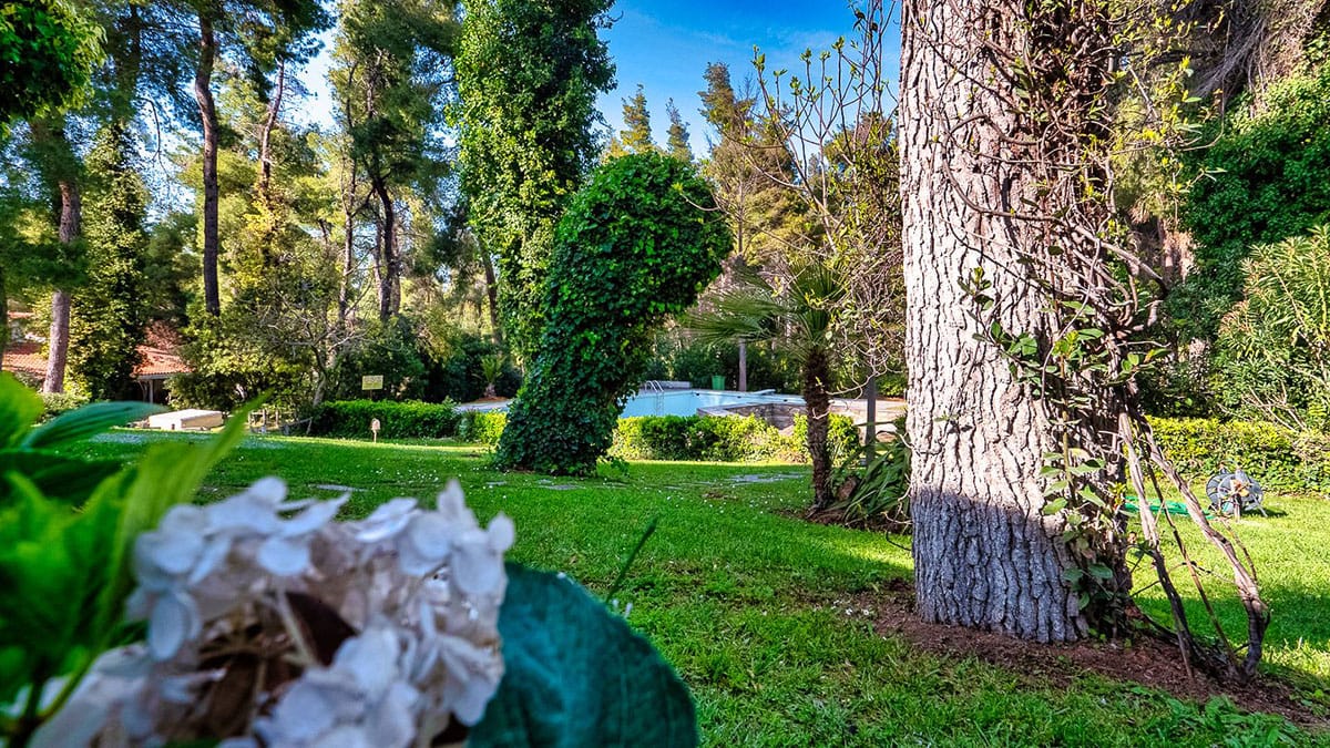Sani Luxury Villas - AMARYL - 7