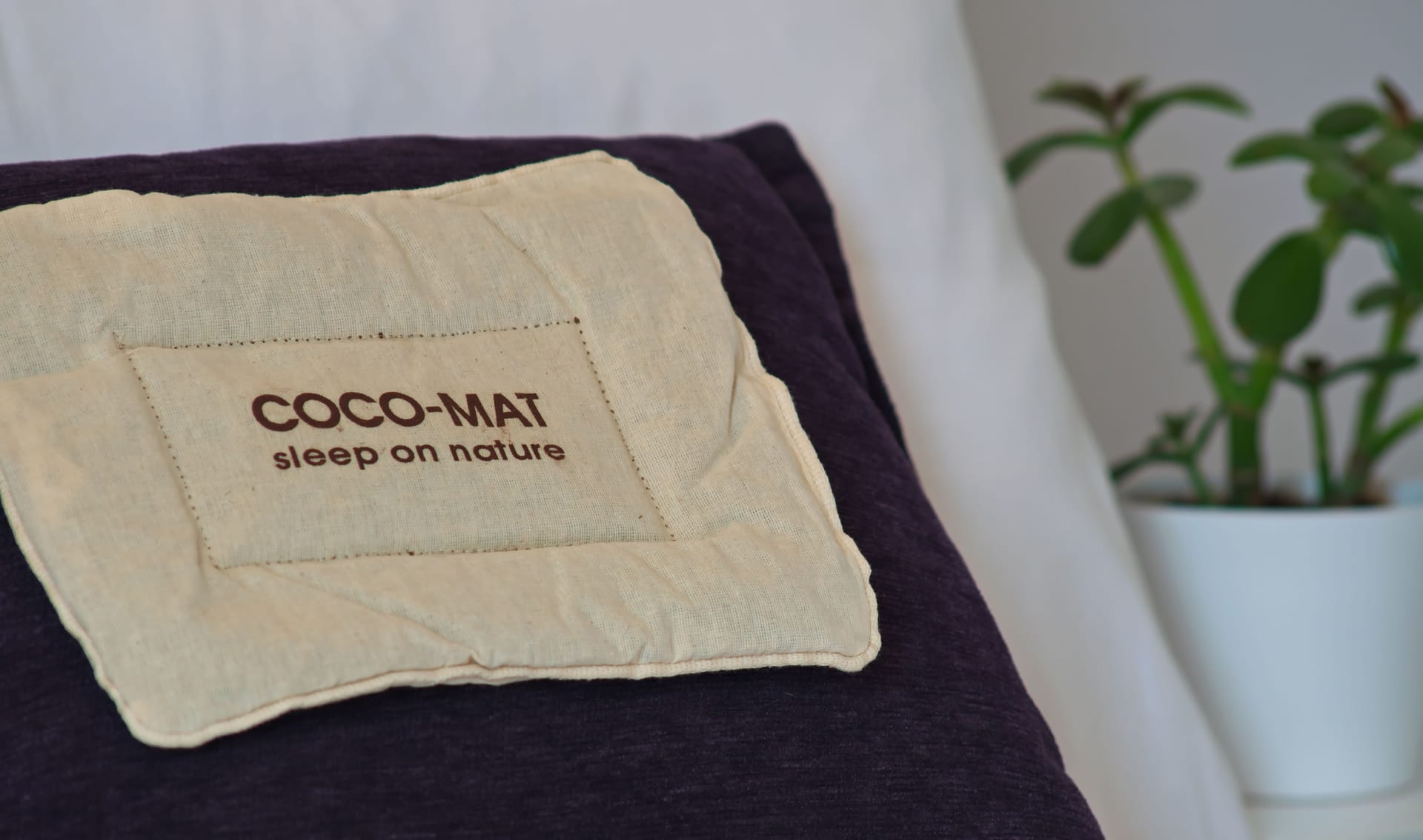 Camara Hotel Naxos - DELUAP - 7