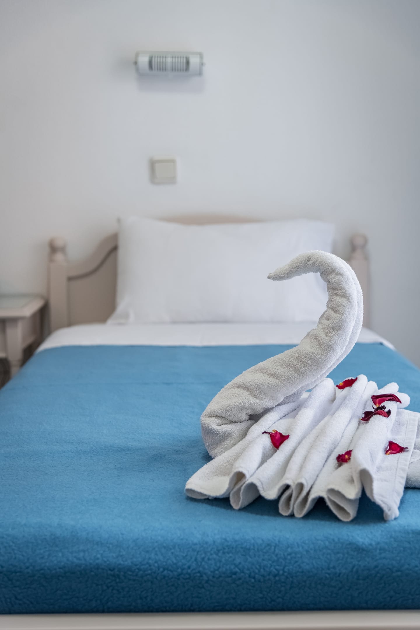 Angela Apartments Kos - STUDIO - 17