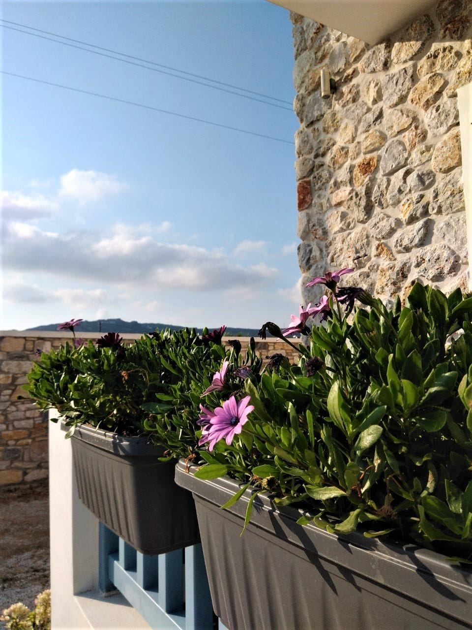 Blue Harmony Apartments Naxos - TRADIT - 16