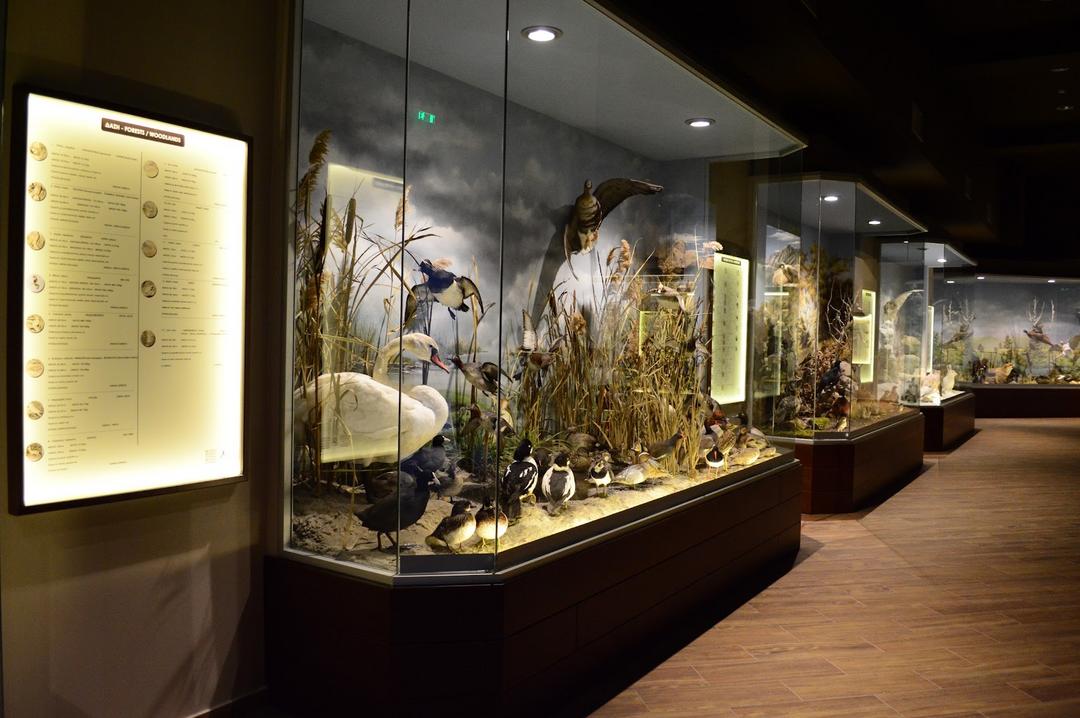 Natural History Museum of Meteora & Mushroom Museum, Kalabaka, Greece