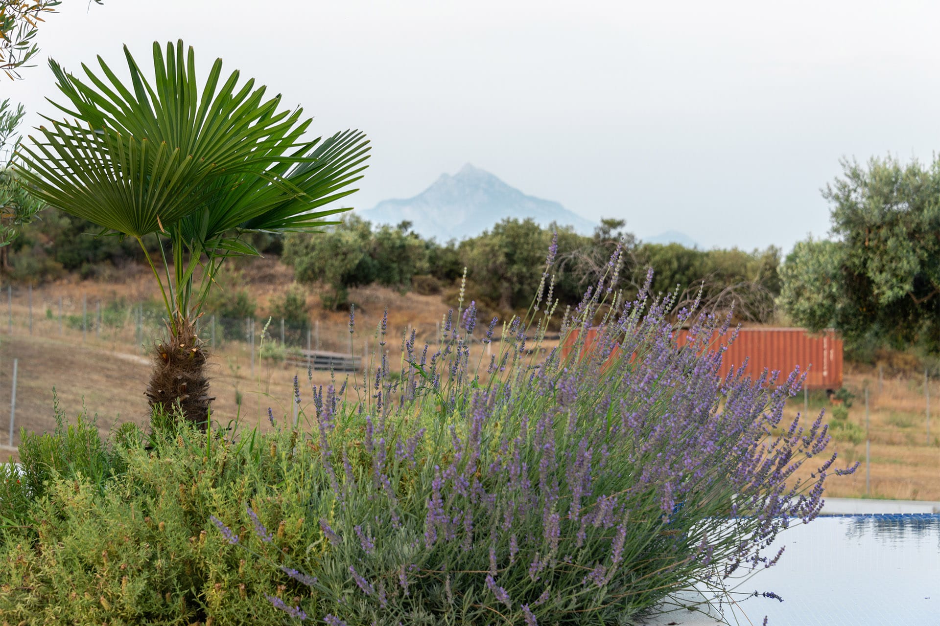 OLD – Afisia Villas