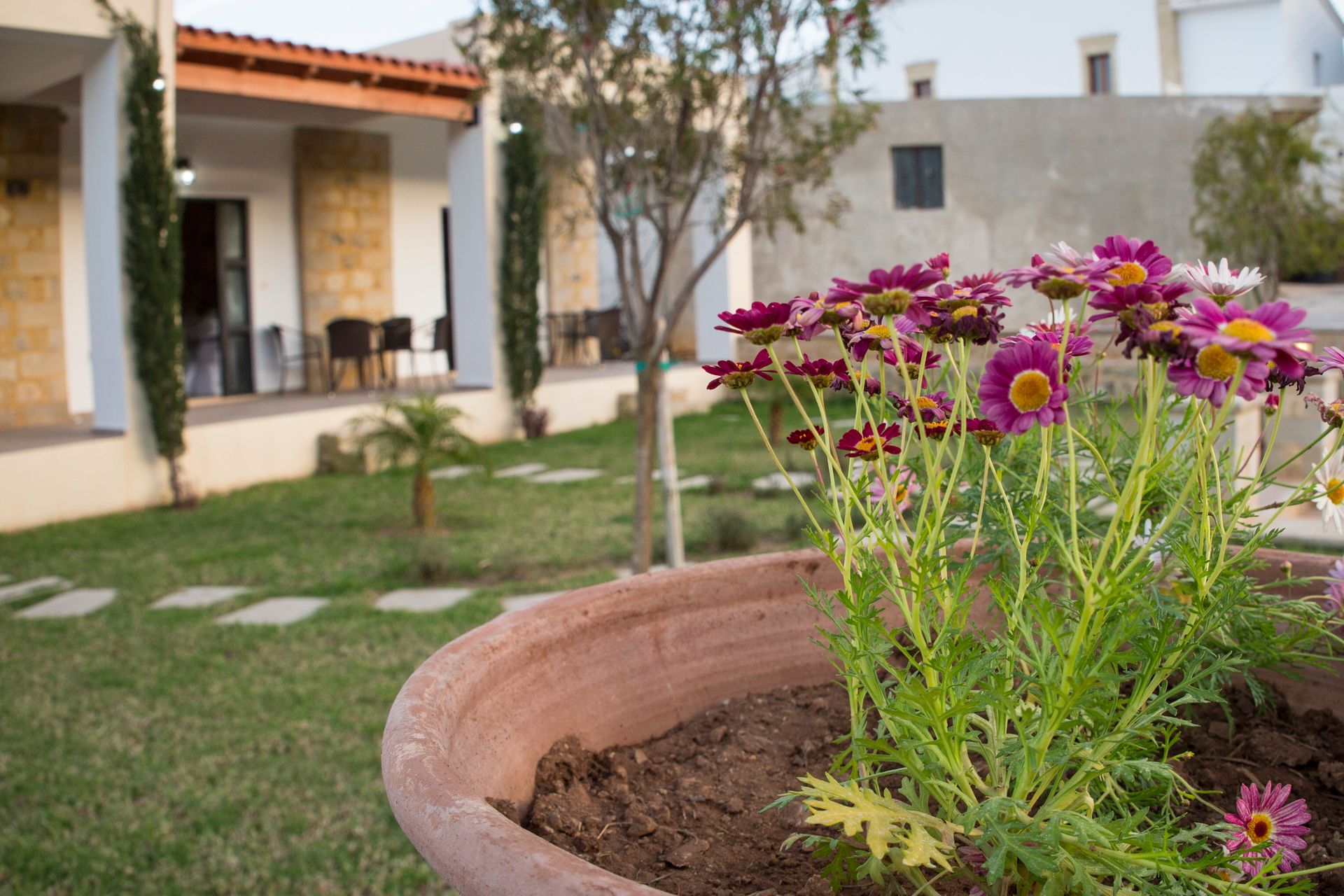 Agarathos Apartments Crete