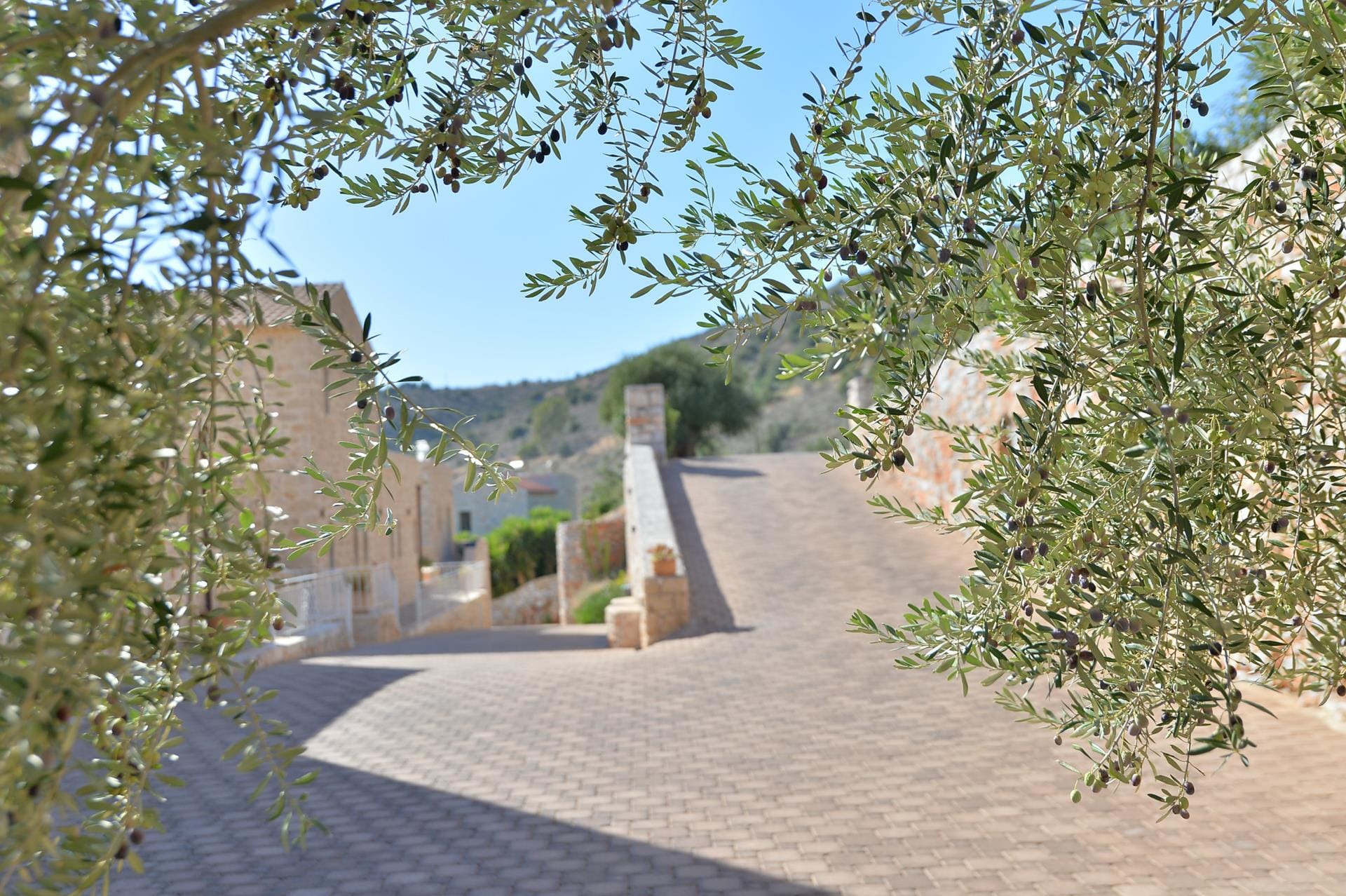 Akrolithi Boutique Hotel