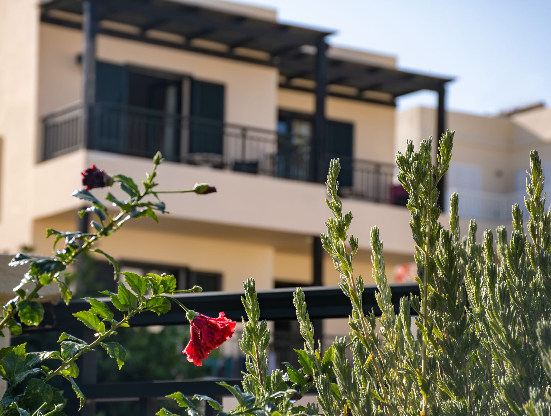 Anastasia Hotel Crete