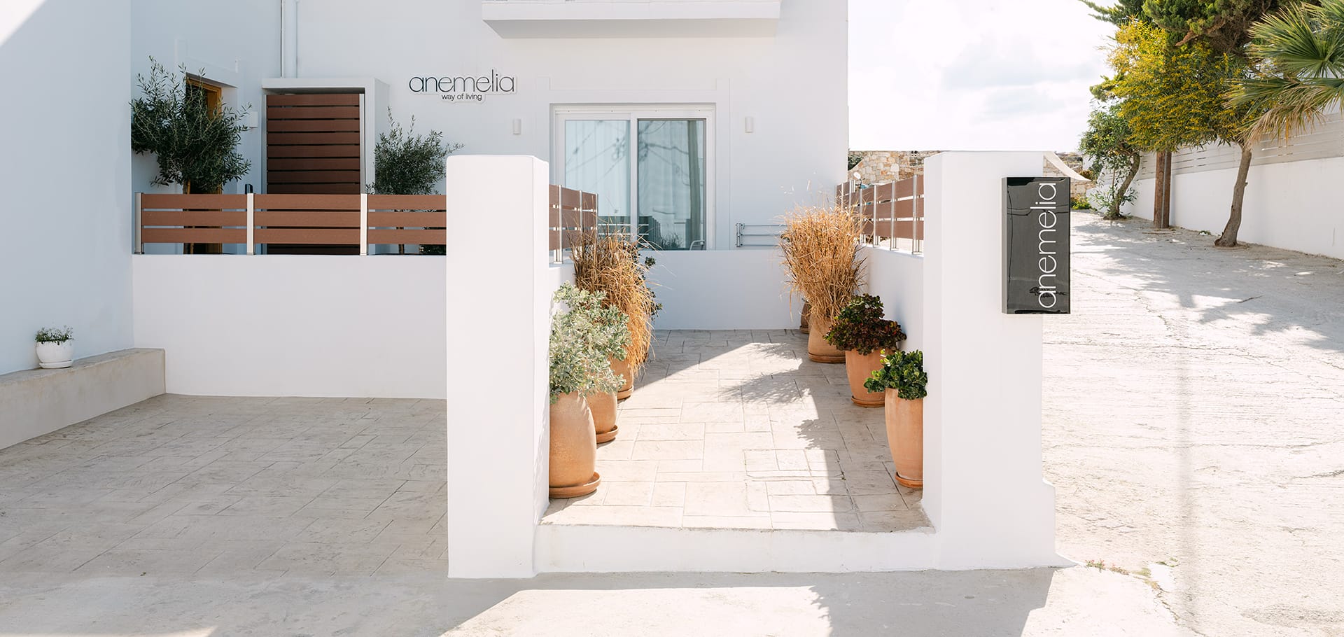 Anemelia Way of Living