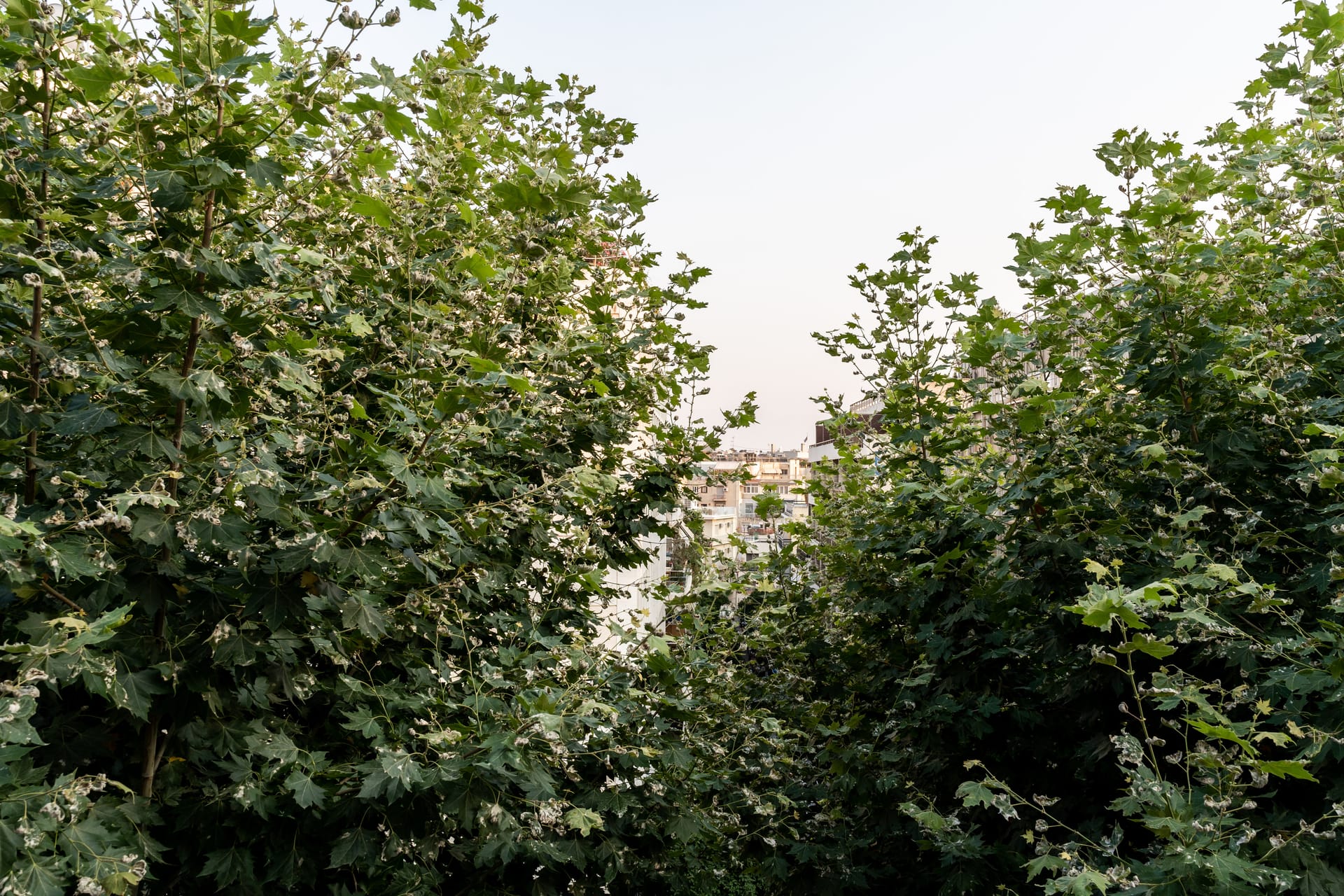 Athens Concept Residences
