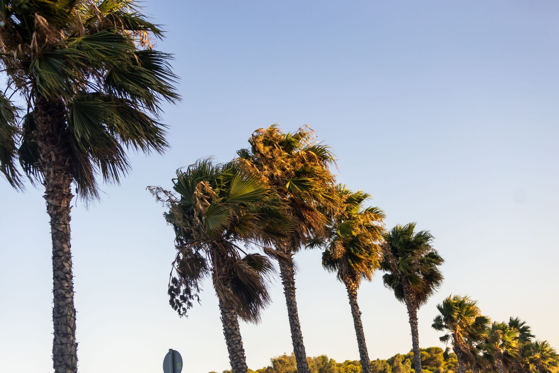 Azur Hotel Vouliagmeni