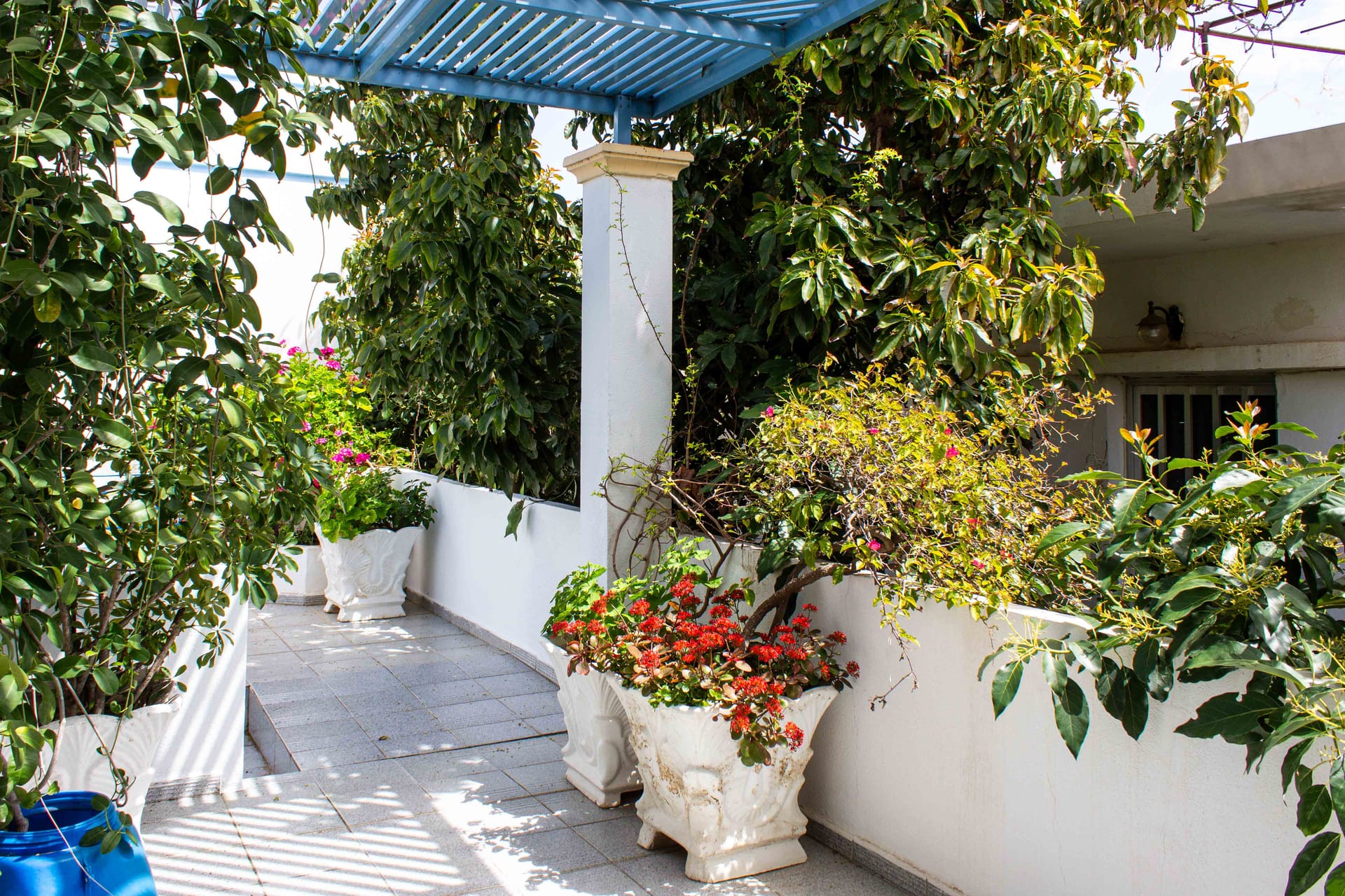 Bluecalm Hotel Chania