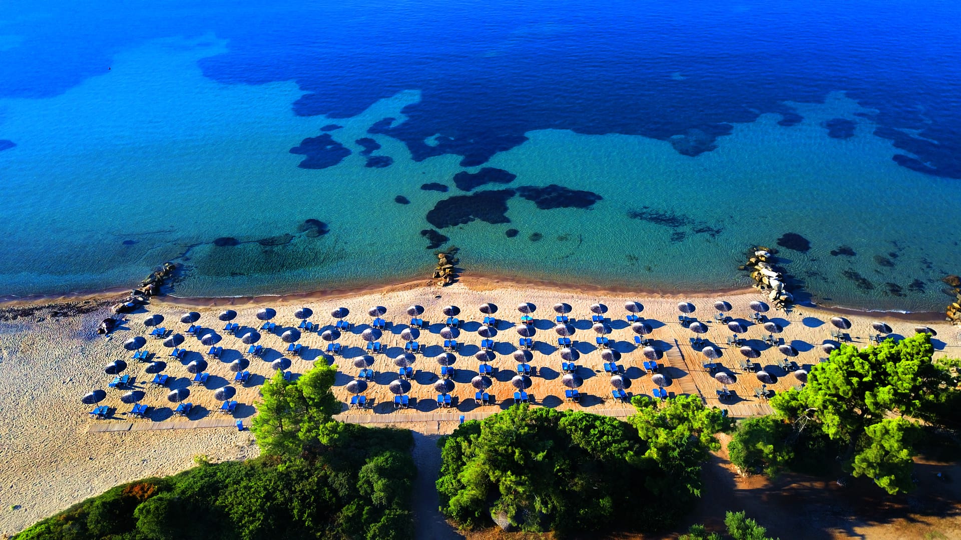 Blue Dolphin Hotel Chalkidiki