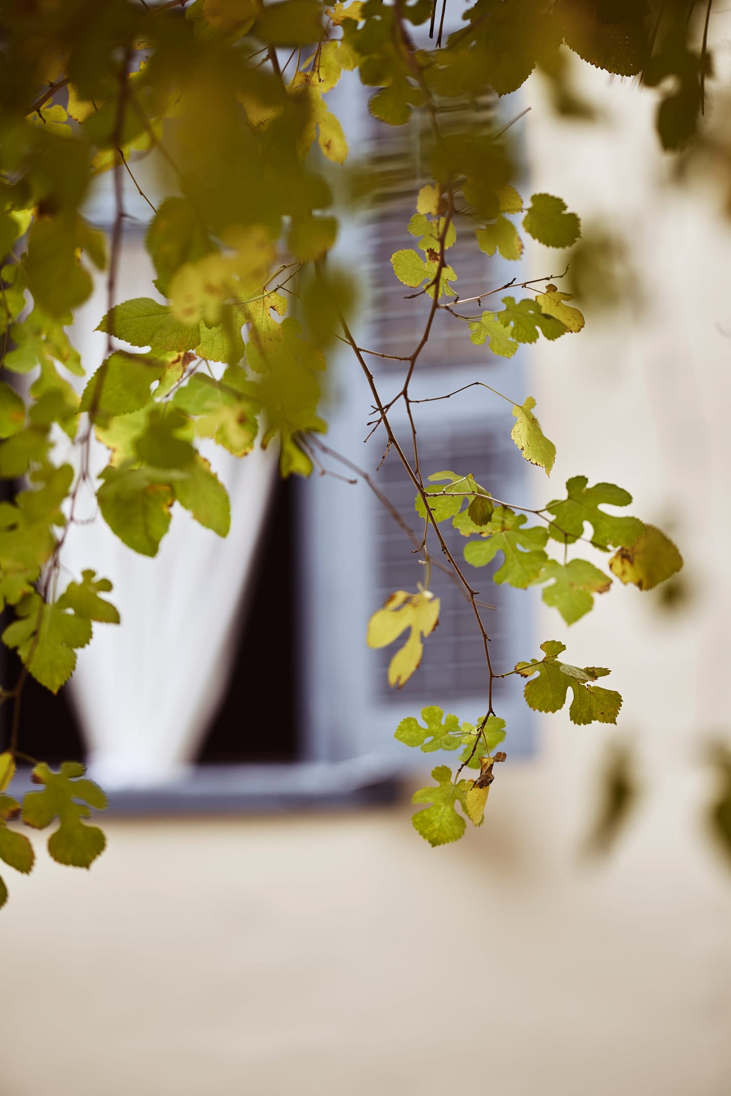 Bohemian Suites Athens – Maison Hotel  Adults Only
