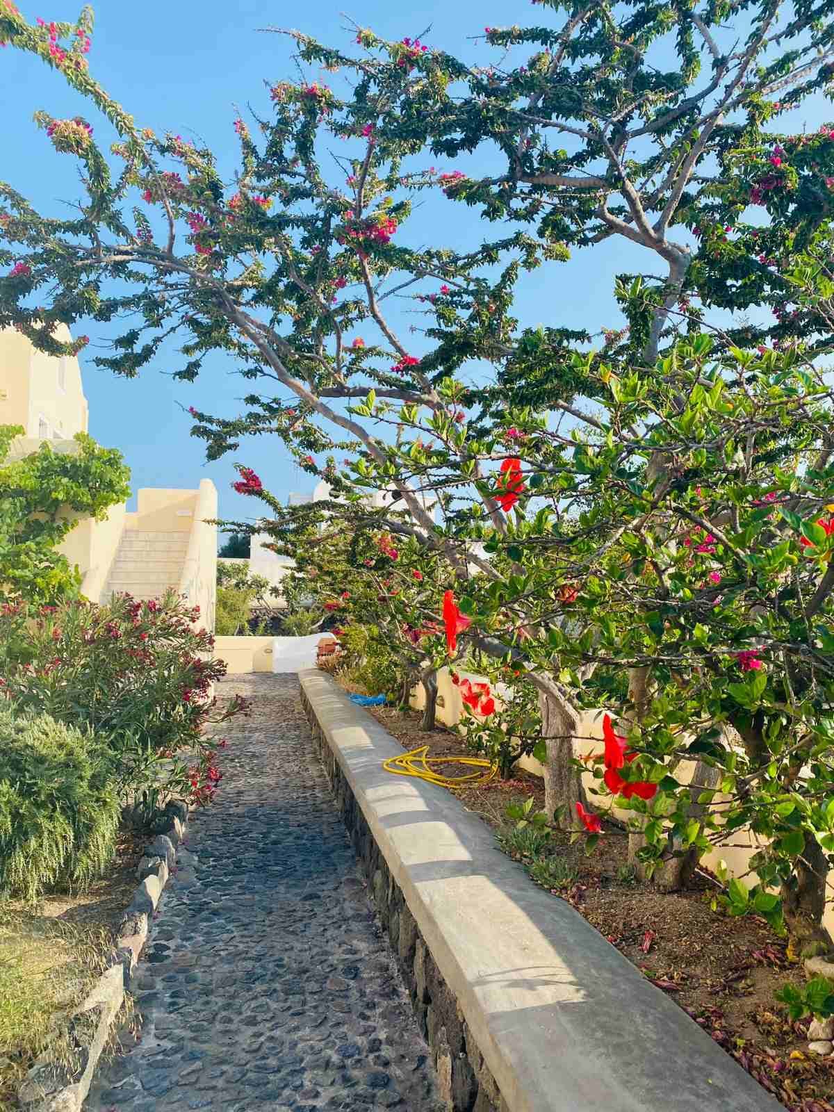Dagris Villas Santorini