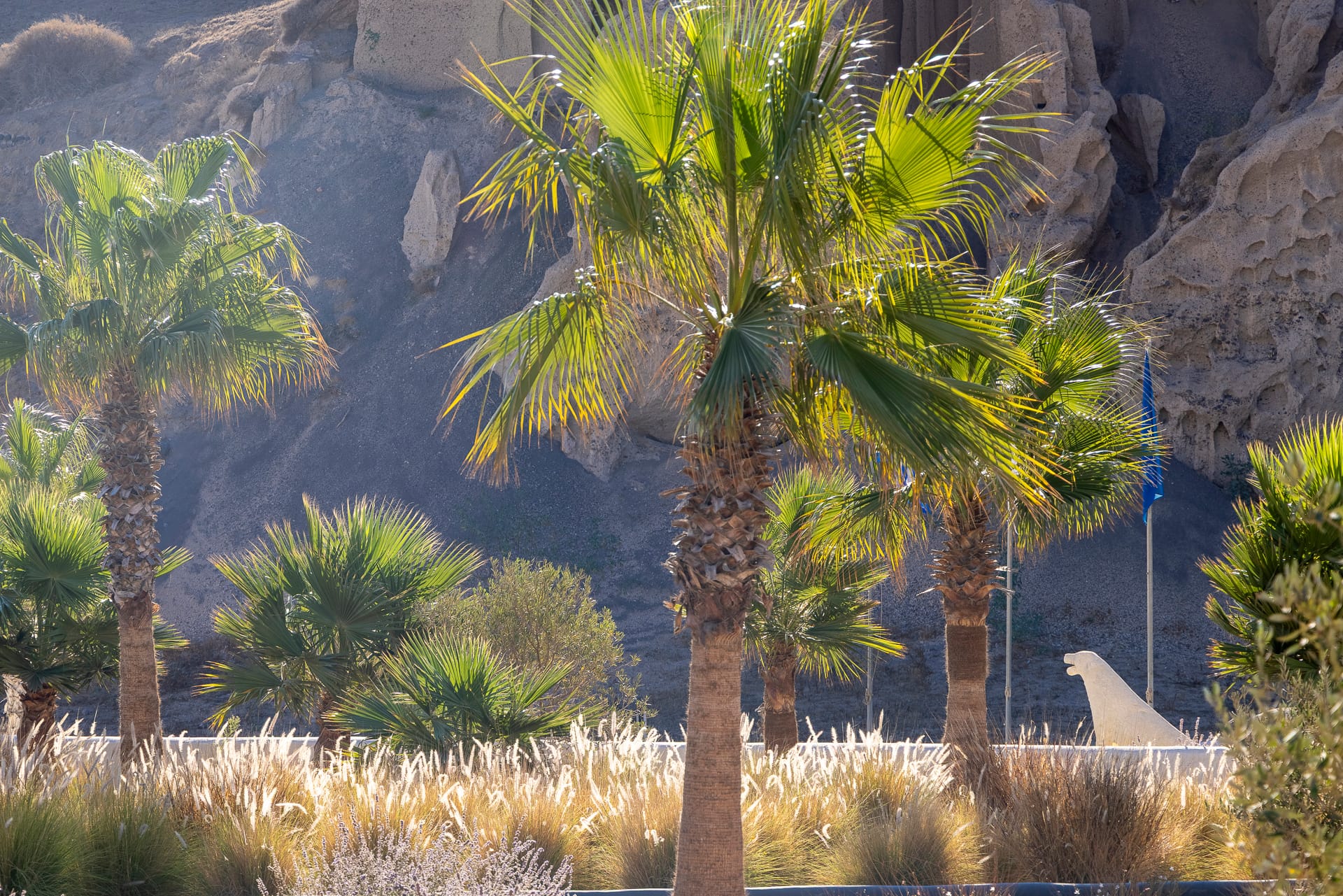 Desiterra Resort