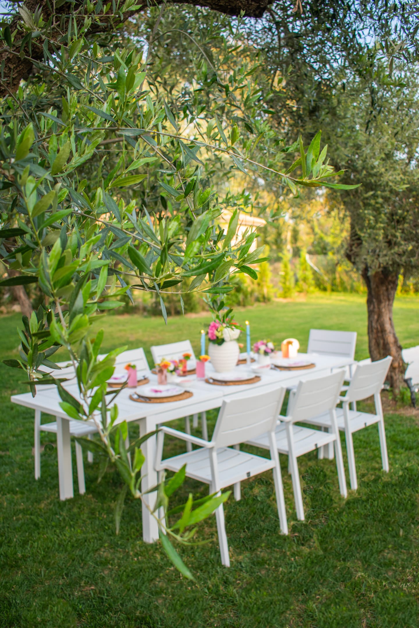 Doliva Estate