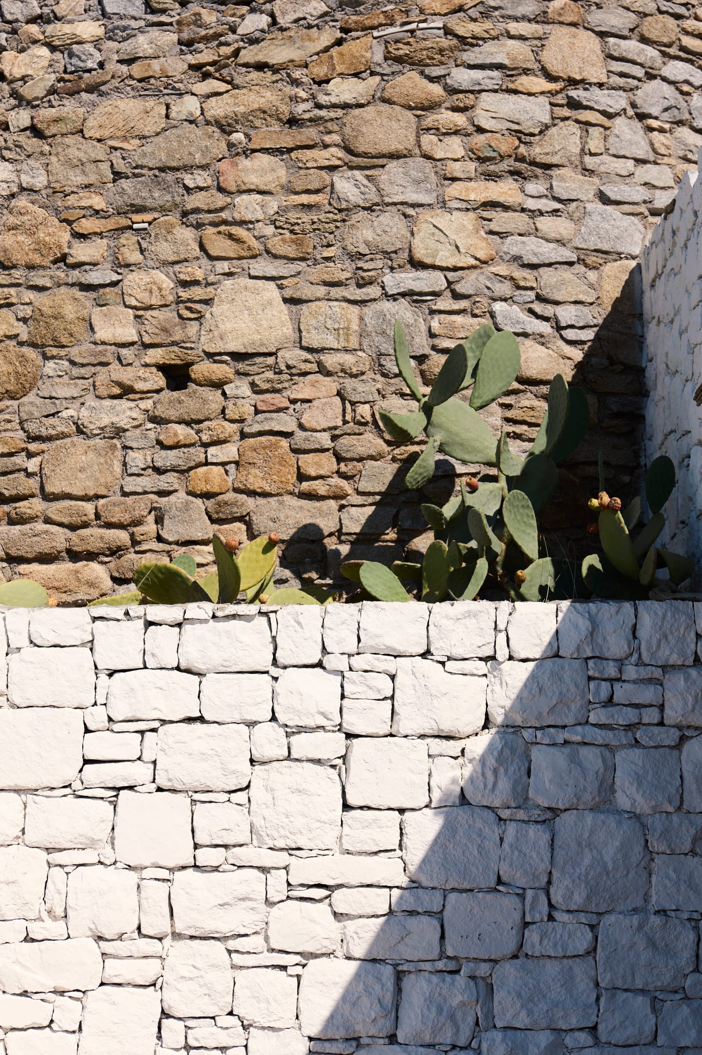 Mykonos Earth Suites