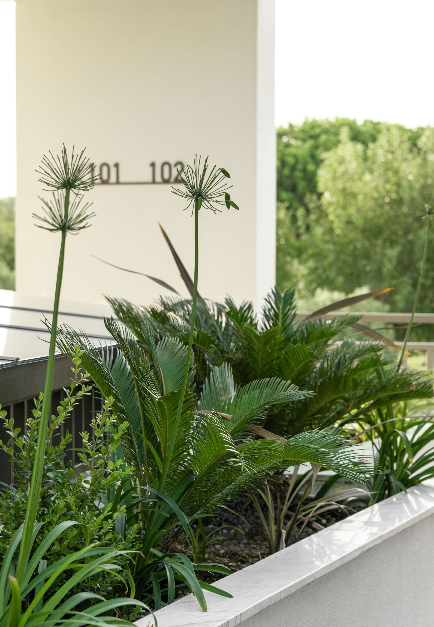 Eco Green Residences & Suites Halkidiki
