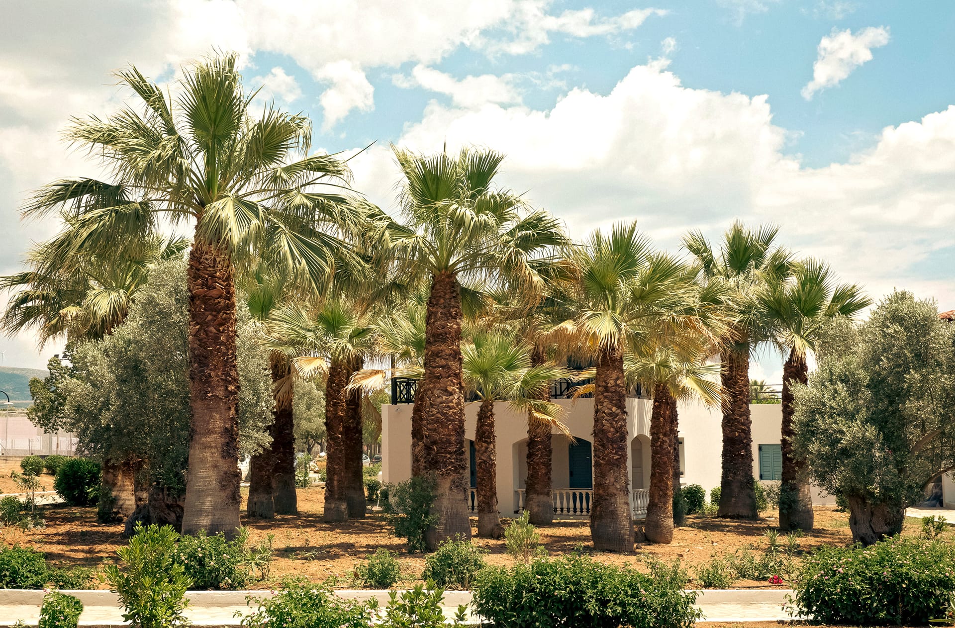 Zeus Eretria Resort