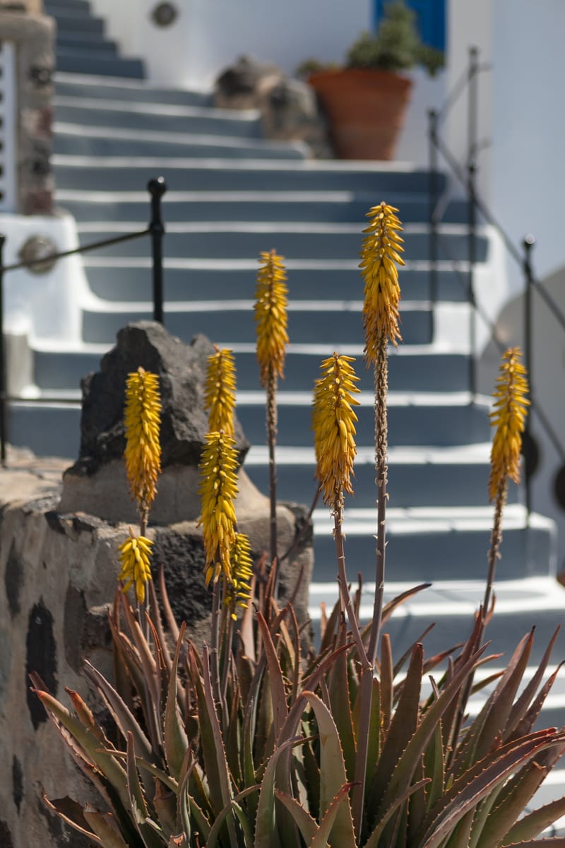 Esperas Oia Santorini