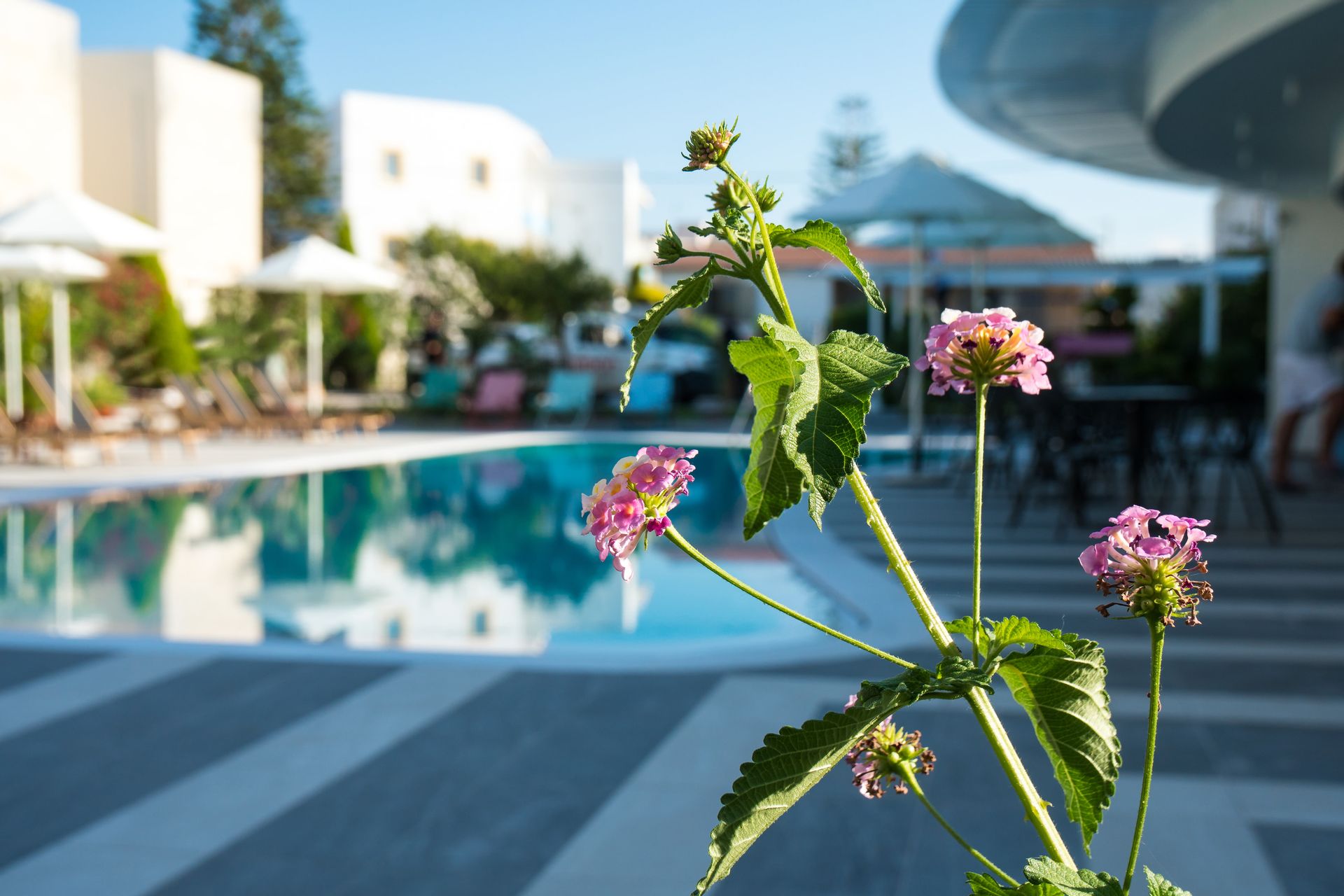 Evdokia Suites