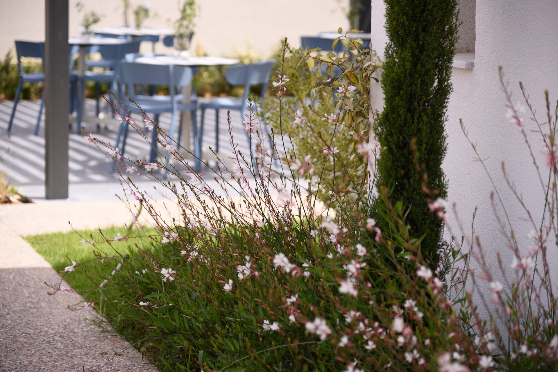 Falena Luxury Rooms