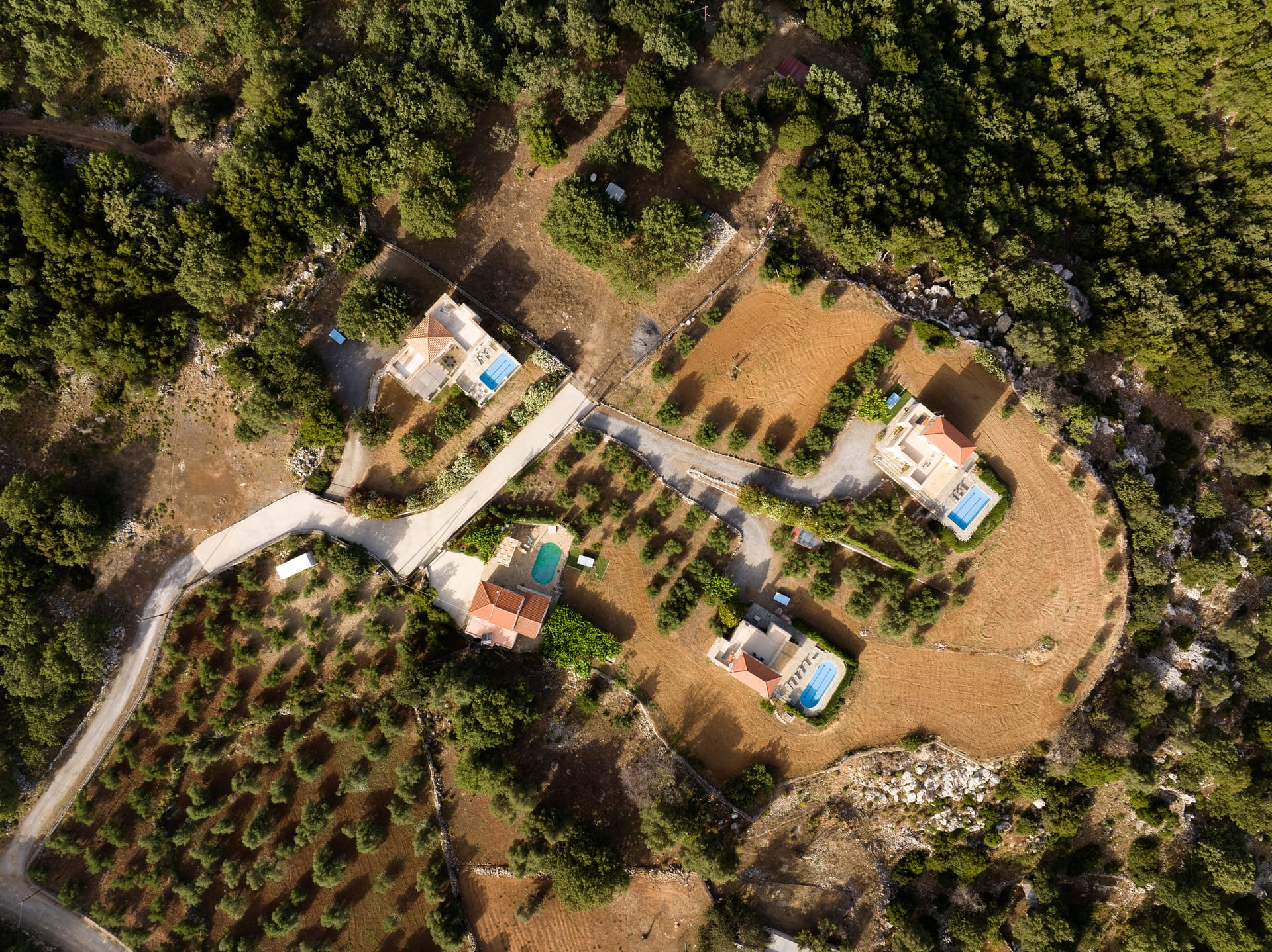 Forest Villas