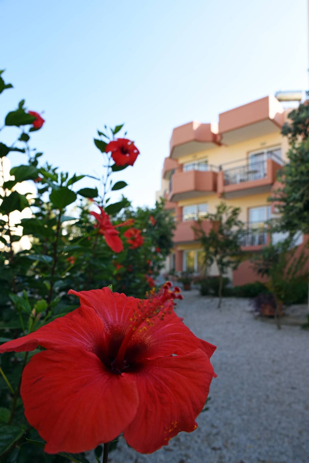 Iolkos Hotel Apartments Chania