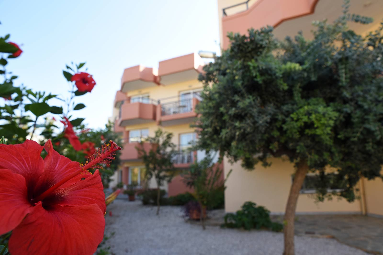 Iolkos Hotel Apartments Chania