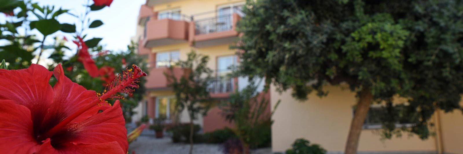 Iolkos Hotel Apartments Chania
