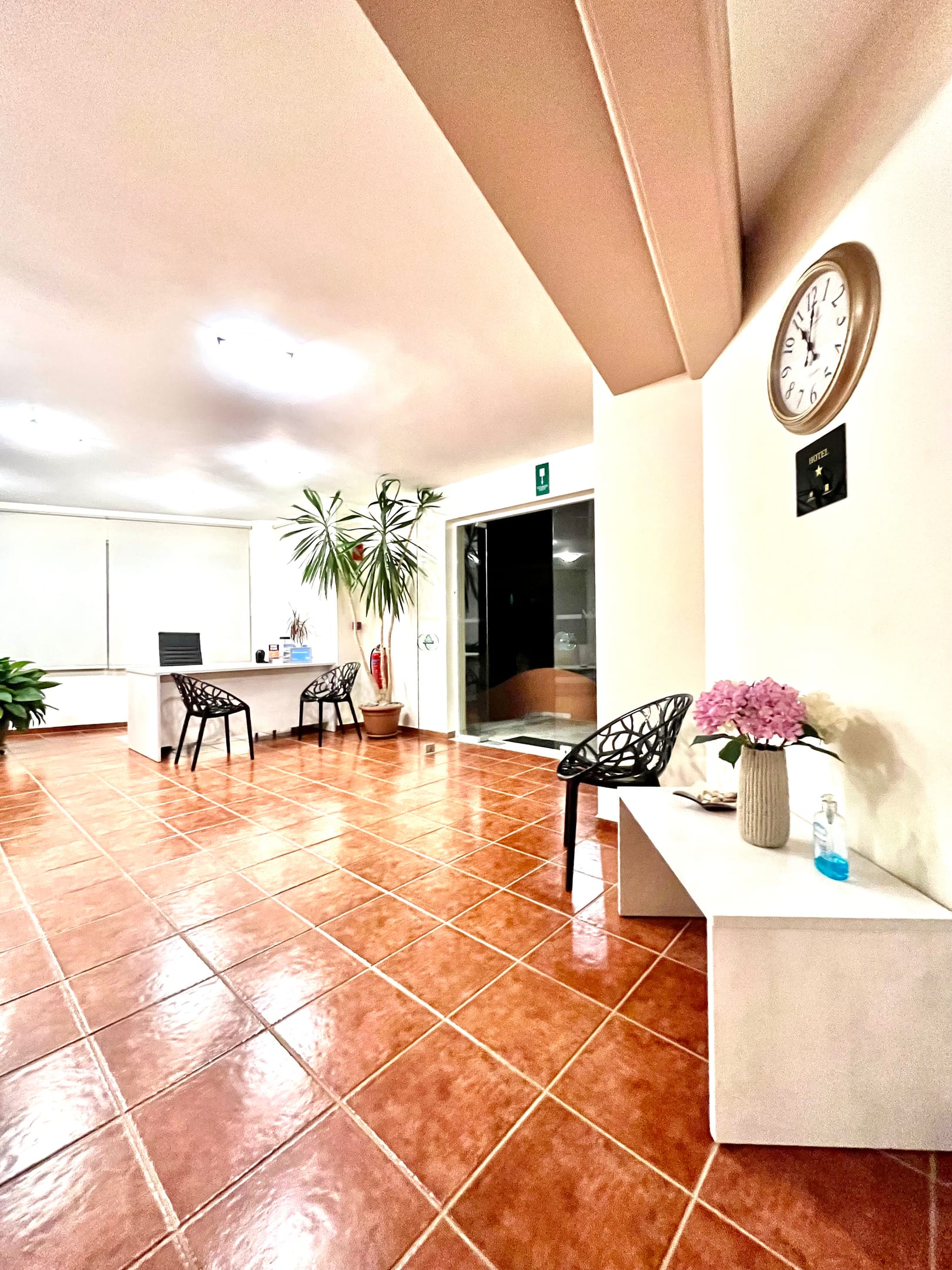 Iolkos Hotel Apartments Chania