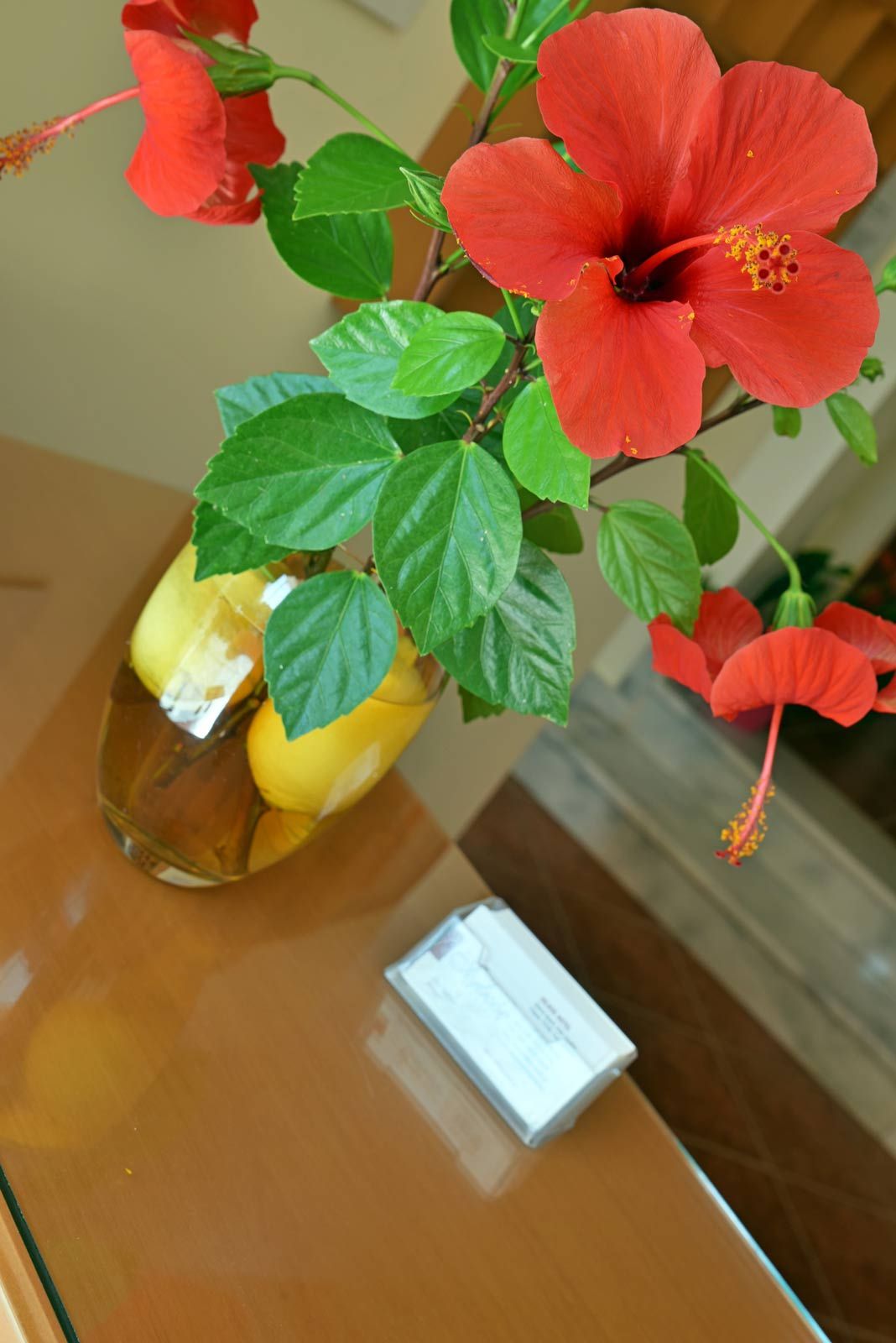 Iolkos Hotel Apartments Chania