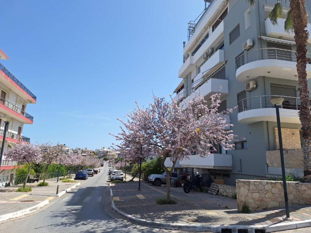Iriana’s Apartments in Center