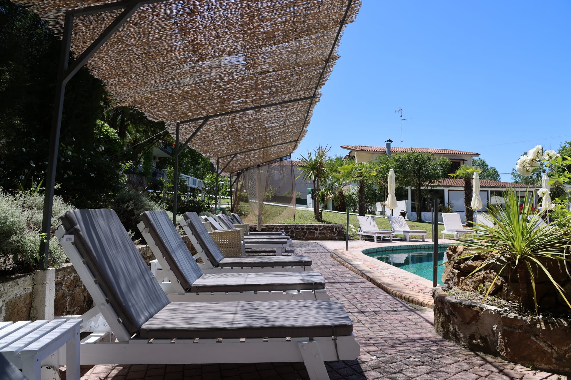 Jenny Siviri Chalkidiki