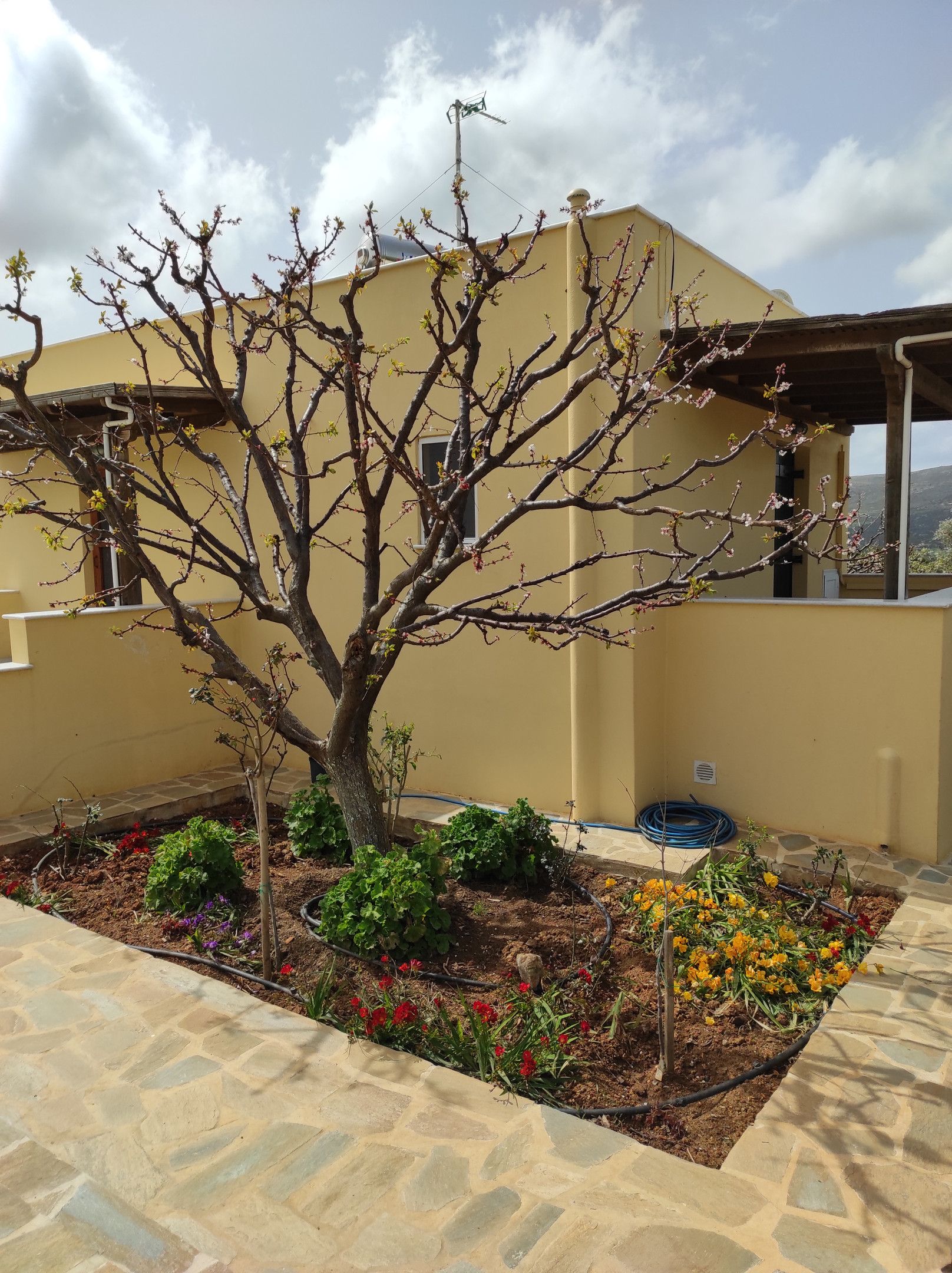 Naxos Cottage