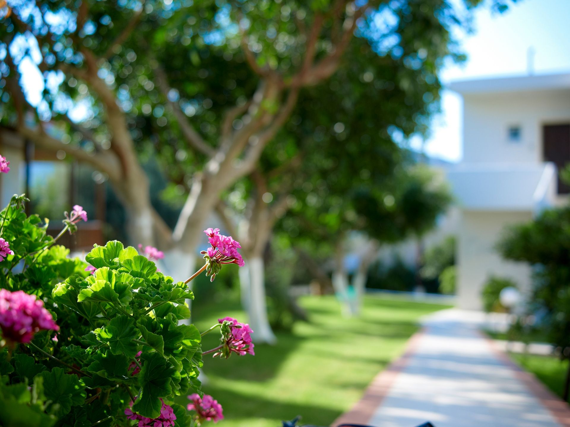 Katrin Hotel & Bungalows